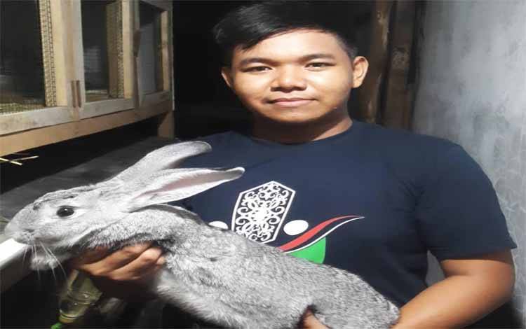 Peternak kelinci di Palangka Raya, Andi Dwi Saputra