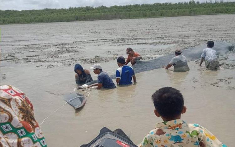 Nelayan dan tim gabungan menyelamatkan ikan paus yang terjebak lumpur di Tanjung Kait perbatasan Desa Simpang Tiga Abadi dan Dusun Sungai Kong, Kecamatan Tulung Selapan, Kabupaten Ogan Komering Ilir, Sumatera Selatan, Selasa (26/1). (ANTARA/HO/21)