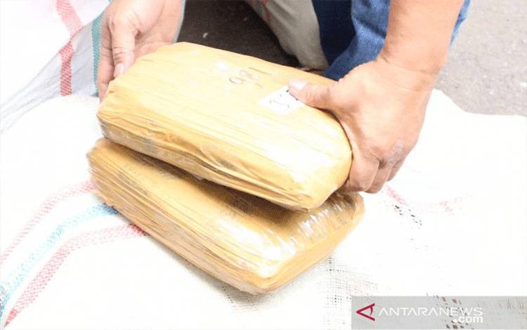 Petugas Satuan Reserse Narkoba Polres Metro Jakarta Barat menunjukkan paket ganja siap edar dengan jumlah total sebanyak setengah ton lebih dari jaringan Sumatera yang hendak dikirim ke Pulau Jawa. (ANTARA/HO-Polres Metro Jakarta Barat)