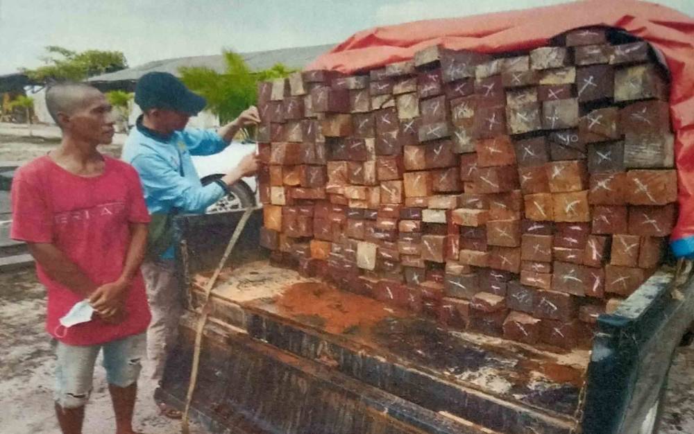 Barang bukti kayu Iwan Setiawan tersangka kasus ilegal loging