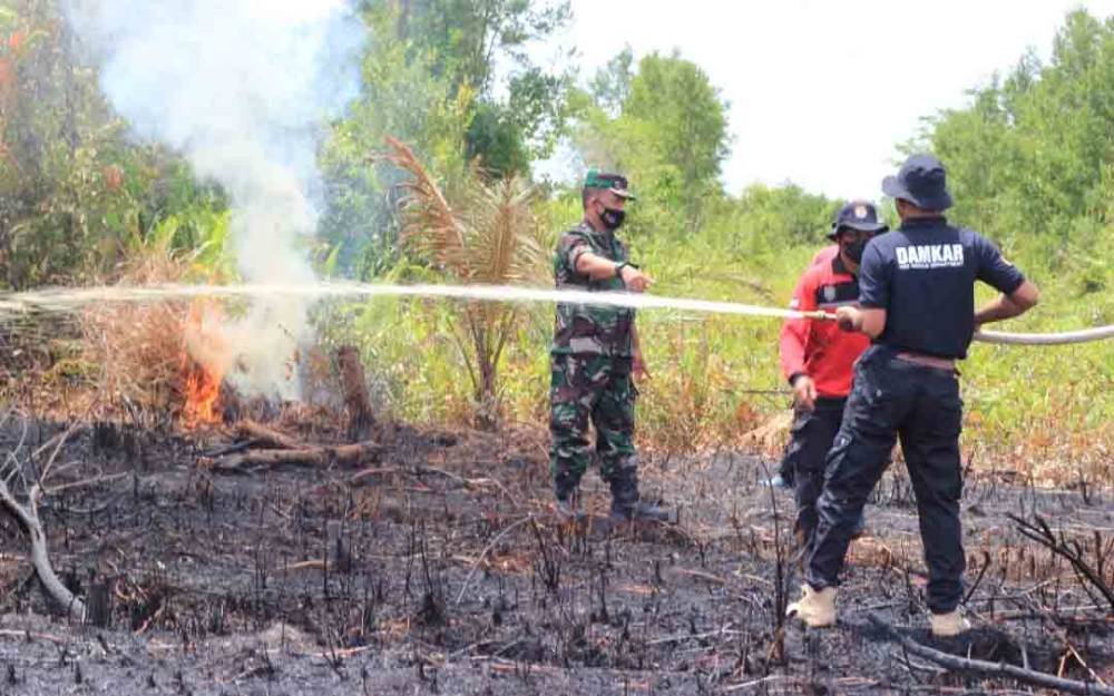 Simulasi pemadaman kebakaran hutan dan lahan yang dilakukan oleh TNI - Polri bersama pihak Kelurahan Petuk Katimpun