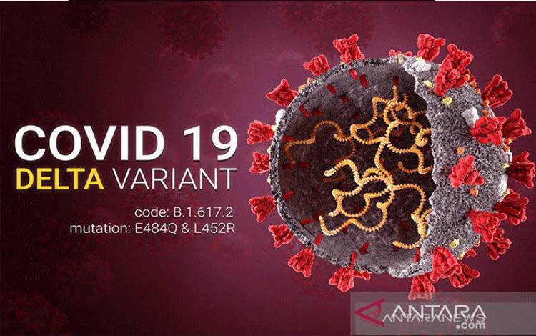 Ilustrasi - COVID-19 varian Delta. (ANTARA/HO-Shutterstock/pri)
