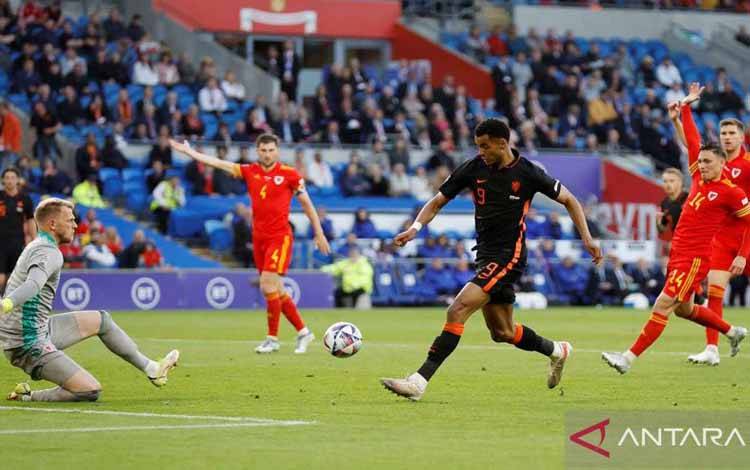 Pemain Belanda Cody Gakpo menembak ke gawang dalam laga Grup D UEFA Nations League antara Wales melawan Belanda di Cardiff, Wales, 8 Juni 2022. Action Images via Reuters/Peter Cziborra/aww.