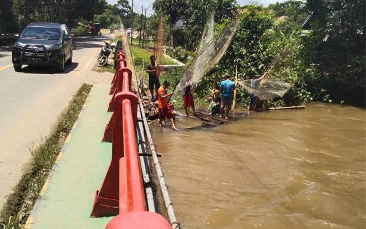 Sejumlah warga Kasongan menangkap ikan di anak Sungai Katingan di Jalan Trans Kalimantan arah Kasongan - Kereng Pangi. (FOTO: ABDUL GOFUR)