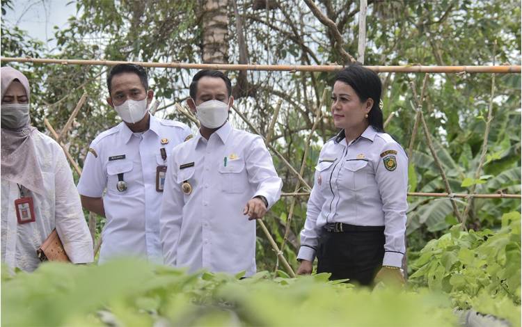 Wali Kota Palangka Raya, Fairid Naparin saat meninjau tanaman hidroponik di Kelurahan Langkai. (FOTO: HENDRI)