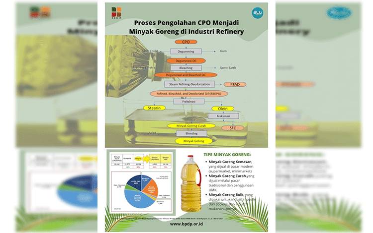 Infografis proses kelapa sawit menjadi minyak goreng.(FOTO: Infografis BPDPKS)
