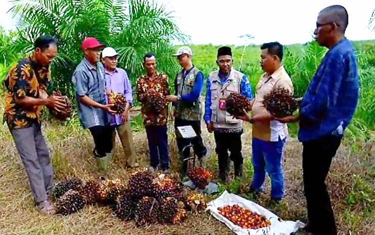 Salah satu kegiatan BPDPKS menemui para petani kelapa sawit dan pengusaha perkebunan kelapa sawit. (FOTO: Rilis BPDPKS)