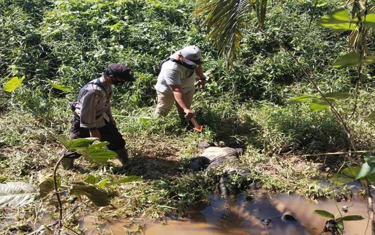 Anggota kepolisian dan warga saat hendak mengevakuasi penemuan sesosok mayat pria di dekat parit. (FOTO: IST)