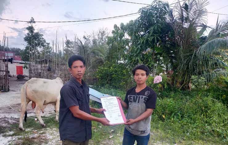 Penyerahan sapi dari H Abdul Rasyid ke Panitia Kurban Kanwil ATR/BPN Kalteng, Senin, 26 Juni 2023. (Foto : Apriando)