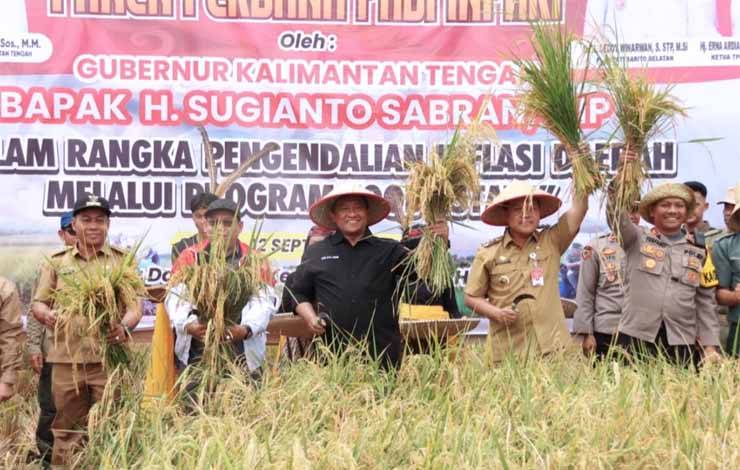 Wagub Kalteng Edy Pratowo panen perdana padi inbrida di Desa Damparan, Kecamatan Dusun Hilir, Kabupaten Barsel. (FOTO: ASEP)