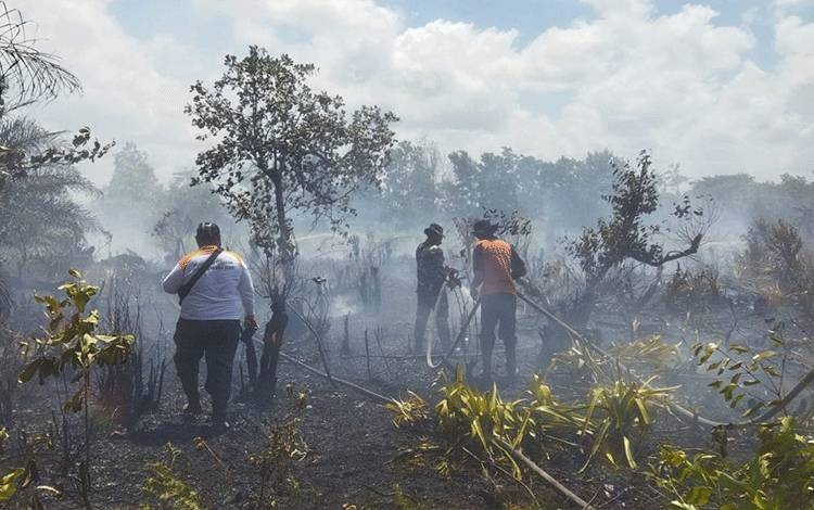 Banyaknya lahan kosong dan semak belukar di tambah hembusan angina laut yang cukup kencang,? membuat dua ?kecamatan ?rawan dan sering terjadi karhutla (Foto : Ist)