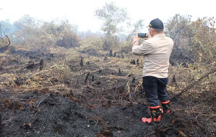 Wakil Menteri Kementerian (Wamen) Lingkungan Hidup dan Kehutanan ( KLHK ) Alue Dohong saat meninjau wilayah gambut yang terbakar di wilayah Kabupaten Pulang Pisau, Tumbang Nusa, Sabtu, 30 September (Foto:Istimewa)