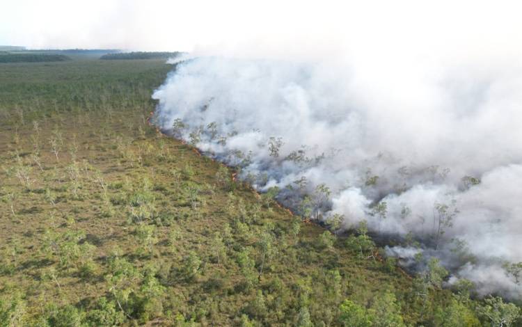Kebakaran Hutan dan Lahan di Wilayah Kabupaten Kotawaringin Barat belum lama ini. (FOTO: ISTIMEWA)