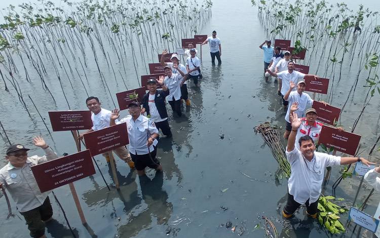 Kegiatan penamaman mangrove di lokasi Wisata Hutan Mangrove Desa Sungai Bakau, Kawasan Wisata Bugam Raya, Selasa, 31 Oktober 2023