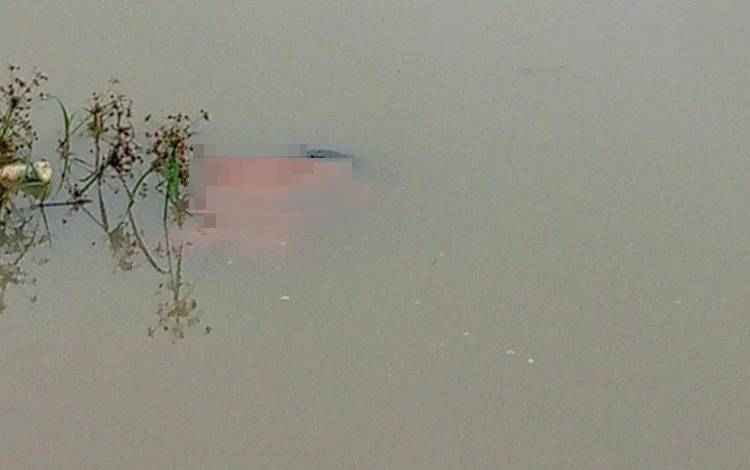 Tampak korban inisial MN (17) mengapung di embung Desa Marga Mulya. (FOTO: ISTIMEWA)