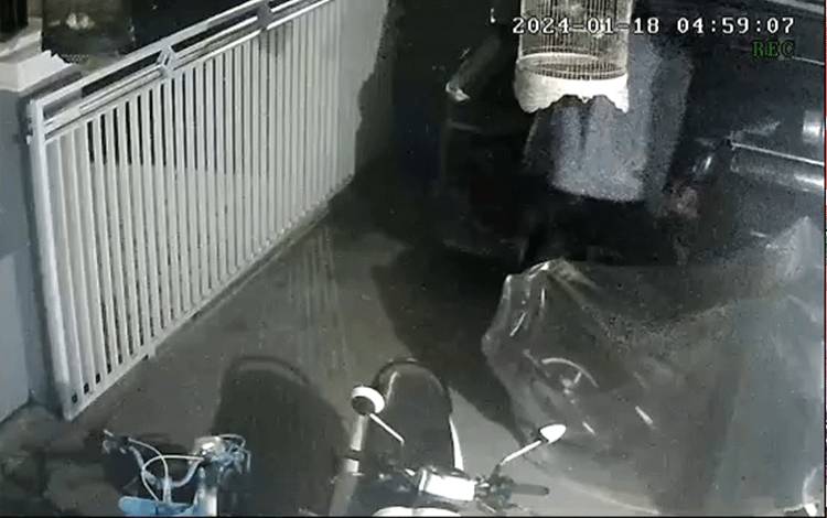 Rekaman CCTV Pencurian Burung Murai di Jalan Piranha (Foto : IST)