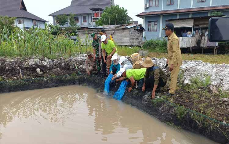 Penaburan bibit ikan lele di kolam yang dibuat pada komplek perkantoran Pemko Palangka Raya. (FOTO: HENDRI)