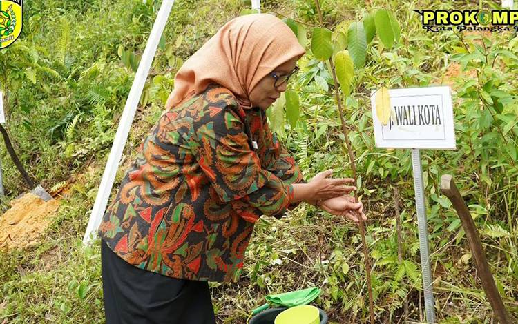 Pj Wali Kota Palangka Raya, Hera Nugrahayu saat menanam pohon. (FOTO: PROKOM)