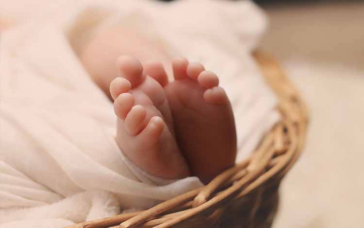 Ilustrasi bayi. Pakar meyakini 1000 hari pertama kehidupan bayi merupakan penentu tumbuh kembang anak kedepannya untuk menghindari stunting. (FOTO:PIXABAY)