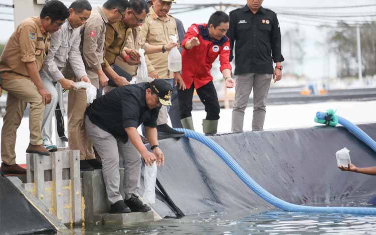 Wakil Gubernur Kalimantan Tengah, Edy Pratowo saat melakukan penaburan benih udang vaname di Desa Sei Raja Kecamatan Jelai Kabupaten Sukamara, akhir pekan ini. (FOTO:RIZALDI)