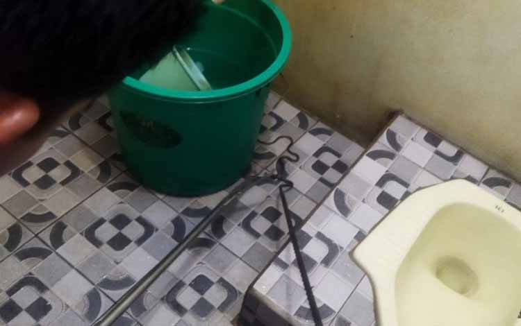 Tim Emergency Pandulima saat mengevakuasi ular di rumah warga (Foto : PATHUR)