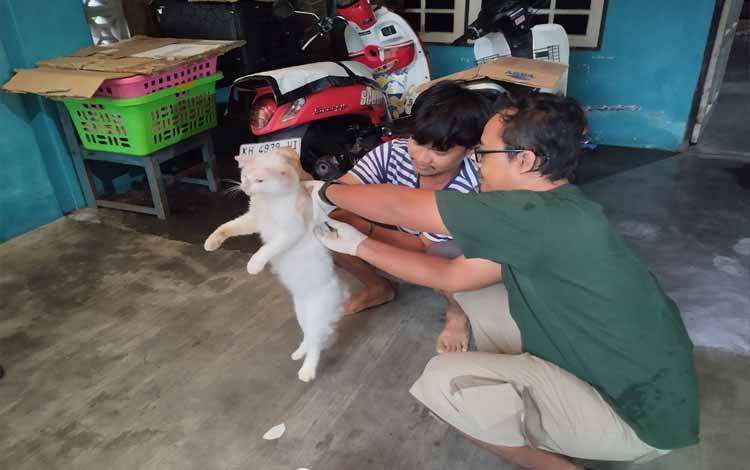 Vaksinasi rabies kepada kucing peliharaan masyarakat Kota Palangka Raya.(FOTO: TESTI PRISCILLA)