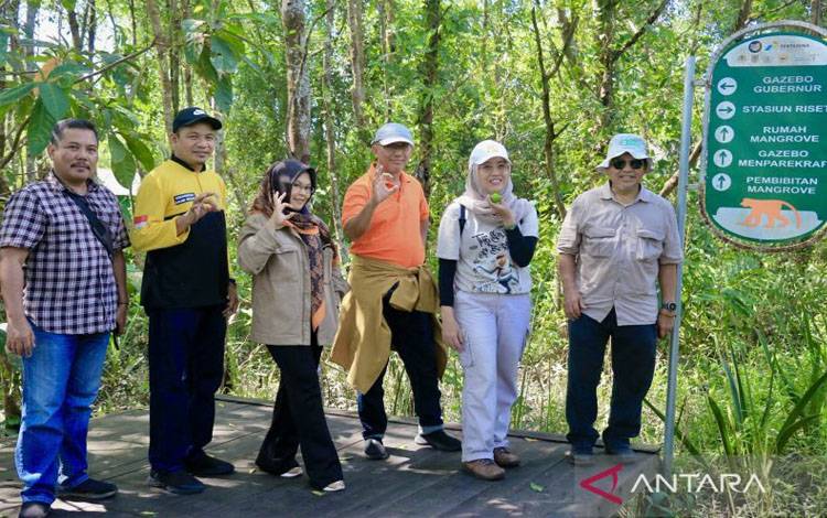 Tim Dewan Pakar Komite Nasional Geopark Indonesia (KNGI) dan Badan Pengelola Geopark Meratus (BPGM) mengunjungi situs biologi konservasi Bekantan sebagai hewan endemik Kalimantan di Pulau Curiak, Kabupaten Barito Kuala, Kalimantan Selatan, Sabtu (1/6/2024). (ANTARA/Tumpal Andani Aritonang)