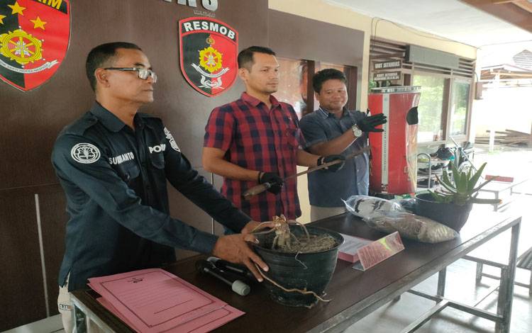 Kasatreskrim Polresta Palangka Raya Kompol Ronny Marthius Nababan saat menunjukkan barang bukti kejadian perkelahian di Jalan Temanggung Tilung I (Foto : PATHUR)