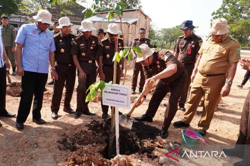 Kejaksaan Tinggi (Kejati) Sumatera Selatan (Sumsel) menanam 250 pohon langka jenis damar dan merbau dalam rangka menyambut hari ulang tahun Republik Indonesia (HUT RI) 17 Agustus 2024. (ANTARA/ HO- Kejati Sumsel)