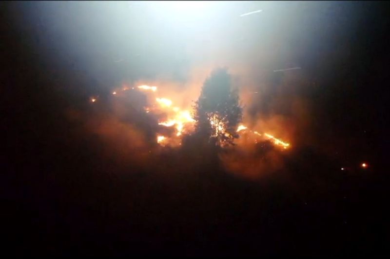 Kebakaran lahan di Jalan Lingkar Utara, Sampit, Selasa (13/8/2024). (ANTARA/HO-BPBD Kotim)