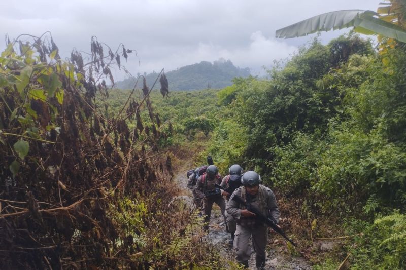 Satgas Operasi Madago Raya Polda Sulteng melakukan patroli jalur Klasik di wilayah pegunungan Poso di Poso, Kamis (15/8/2024). (ANTARA/HO-Humas Polda Sulteng)