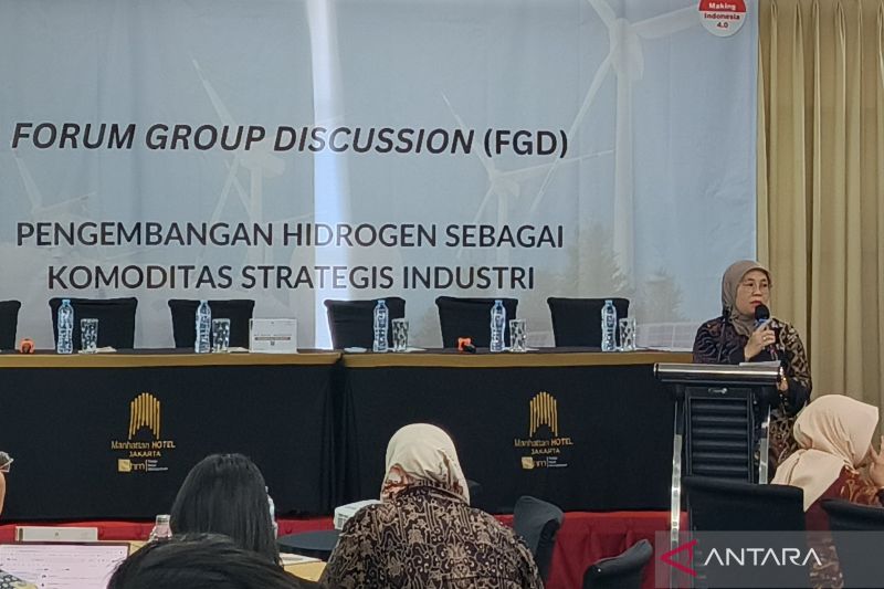 Acting Director General of Chemical, Pharmaceutical, and Textile Industries Reni Yanita in a discussion event in Jakarta on Thursday (August 15, 2024). (ANTARA/Muzdaffar Fauzan)