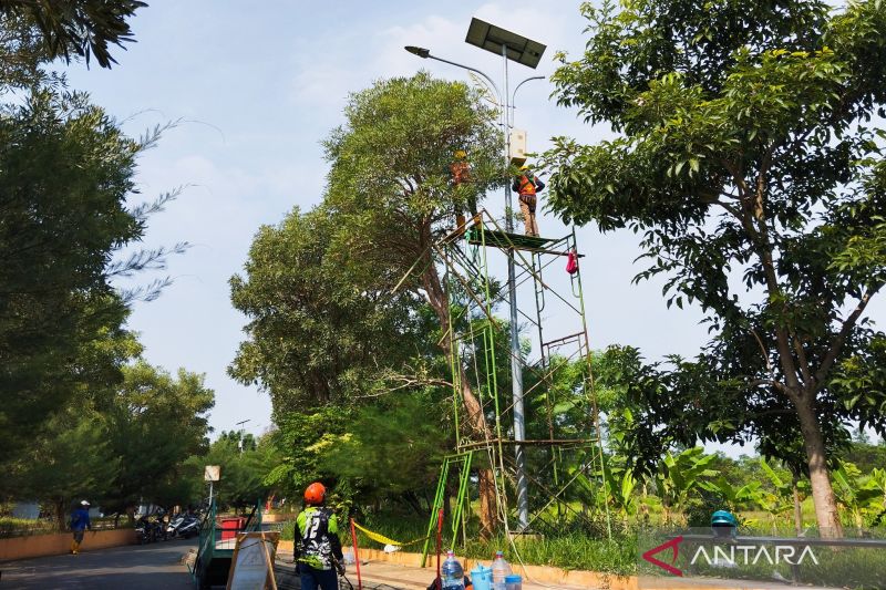 Sejumlah petugas melakukan penggantian lampu penerangan jalan umum (LPJU) bertenaga surya dengan lampu yang menggunakan energi listrik di kawasan Balai Jagong Kudus, Jawa Tengah. (ANTARA/Akhmad Nazaruddin Lathif)