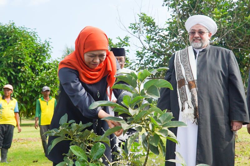 Khofifah Indar Parawansa saat memetik jeruk siam yang sedang panen bersama cicit Syekh Abdul Qadir Jailani yaitu Assyeikh Assayyid Afeefuddin Al-Jailani. (ANTARA/HO-Tim KIP)