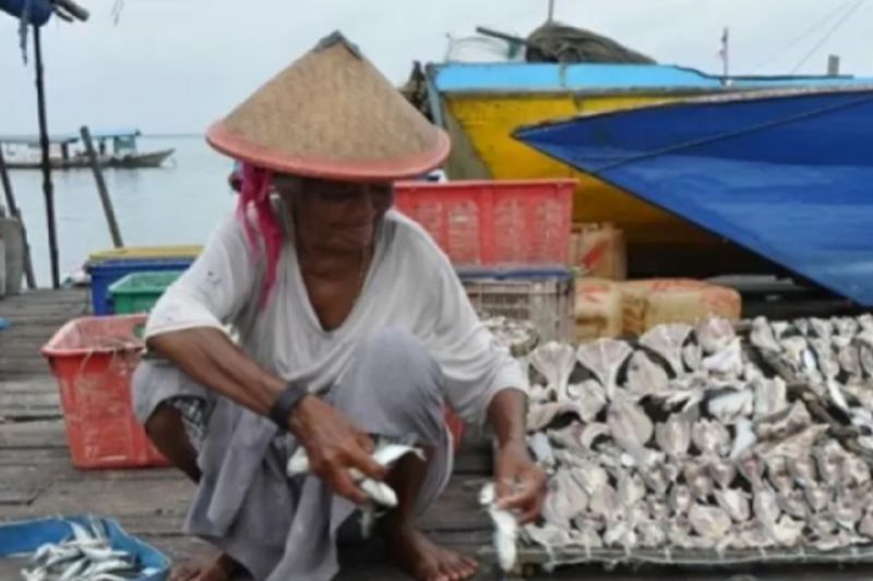 Arsip - Seorang nelayan menjemur produk turunan ikan laut di Tanah Laut, Kalimantan Selatan, beberapa waktu lalu. (ANTARA/HO-Kominfo Tanah Laut)