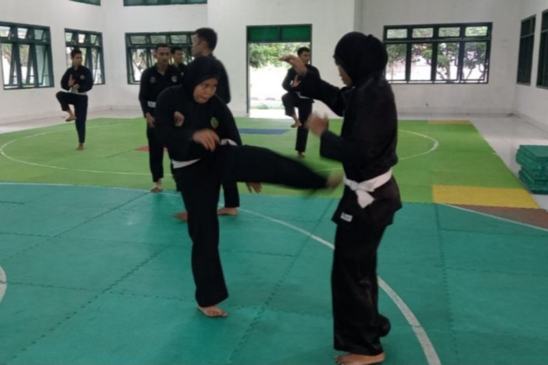 Atlet pencak silat Sumut sedang berlatih untuk mematangkan persiapan menghadapi PON 2024 (ANTARA/HO)