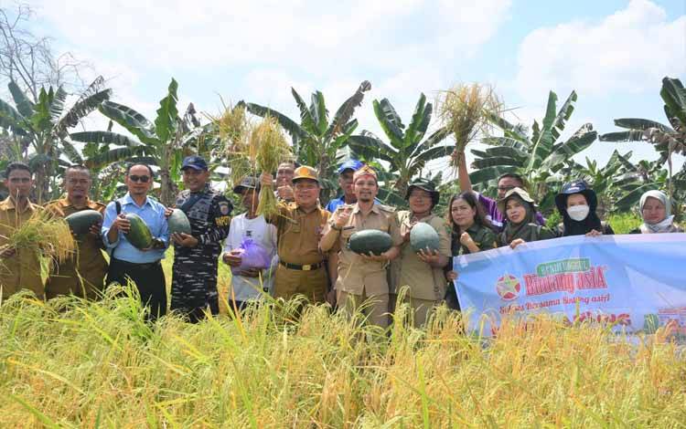Kegiatan panen raya padi di Desa Pulau Telo Baru, Kecamatan Selat pada Selasa, 20 Agustus 2024. (FOTO: IST)
