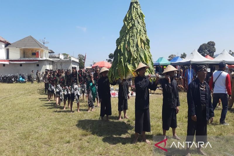 Sejumlah warga melakukan tradisi wiwit tembakau tanda dimulai masa penen di Desa Klakah Kecamatan Selo, Boyolali, Selasa (20/8/2024). ANTARA/Bambang Dwi Marwoto.