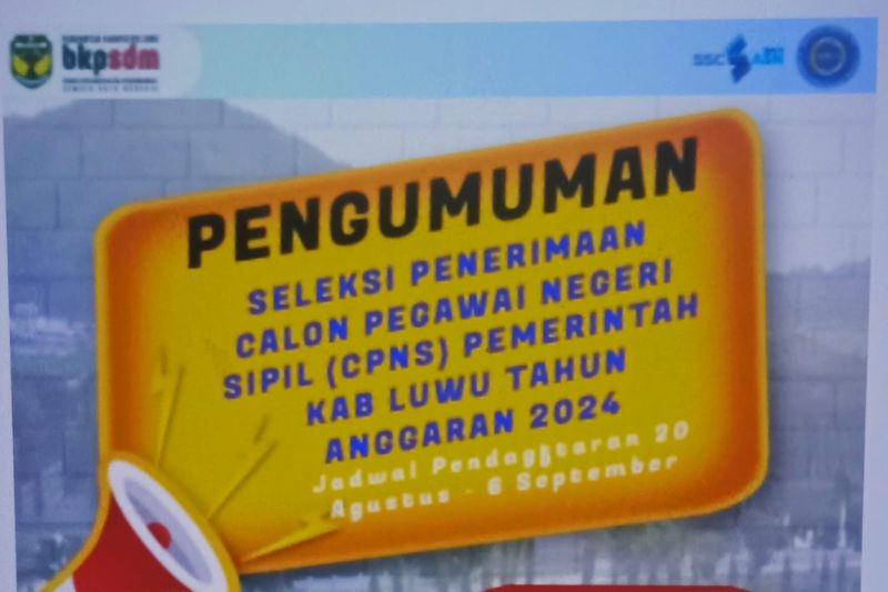 Pengumuman seleksi CPNS 2024 di Kabupaten Luwu, Sulawesi Selatan. ANTARA/HO-Pemkab Luwu
