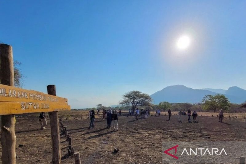 Pengujung wisata alam Taman Nasional Baluran Situbondo, Jawa Timur. ANTARA/Novi Husdinariyanto