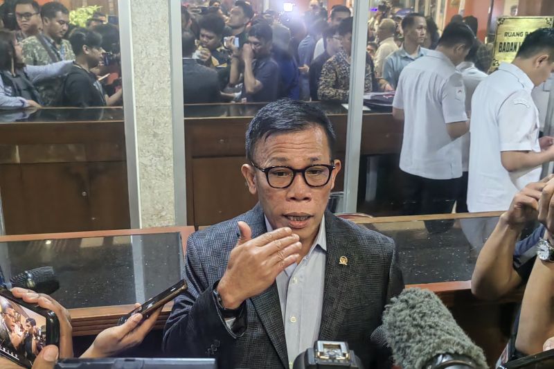 Anggota Fraksi PDI Perjuangan DPR RI Masinton Pasaribu di Kompleks Parlemen, Senayan, Jakarta, Rabu (21/8/2024). (ANTARA/Melalusa Susthira K.)