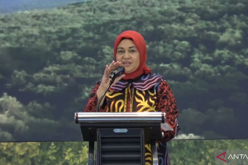 Tangkapan layar - Dirjen PDASRH KLHK Dyah Murtiningsih membuka Seminar Nasional Digitalisasi Transparansi dan Akuntabilitas Keberlanjutan Reklamasi Hutan dan Rehabilitasi DAS yang dipantau daring dari Jakarta, Kamis (22/8/2024). (ANTARA/Prisca Triferna)