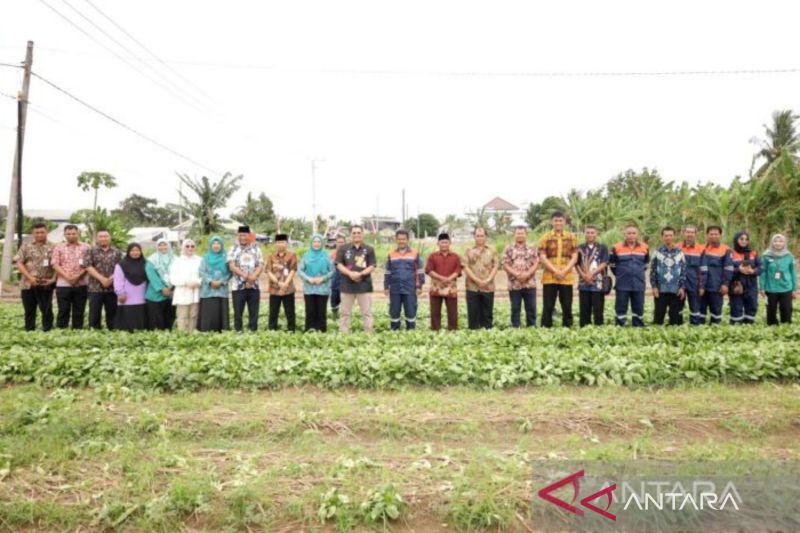 Penjabat Wali Kota Pangkalpinang, Budi Utama bersama penjabat Ketua TP-PKK, Yuniar Putia mengunjungi Kelompok Wanita Tani Melatih Putih dan Kelompok Tani serba ada 2 Kota, di lahan demplot Kelurahan Airmawar, Bukit Intan, Kamis (22/8/2024). (ANTARA/HO-Diskominfo Kota Pangkalpinang)