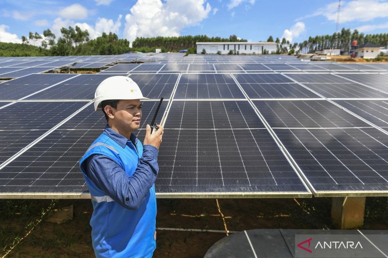 Petugas memeriksa panel surya Pembangkit Listrik Tenaga Surya (PLTS) IKN di Penajam Paser Utara, Kalimantan Timur, Kamis (1/8/2024). PLTS IKN yang saat ini telah beroperasi dengan kapasitas 10 MW itu akan memasok 100 persen kebutuhan listrik untuk upacara peringatan HUT Ke-79 RI di IKN. ANTARA FOTO/Hafidz Mubarak A/aww.