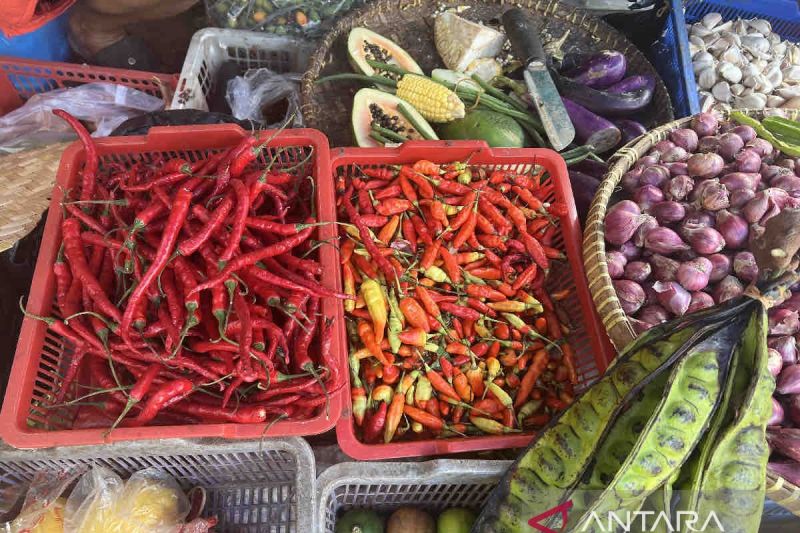 Bawang merah dan komoditas pangan lainnya yang dijual pedagang di Pasar Minggu, Jakarta, Rabu (21/8/2024). ANTARA/Harianto