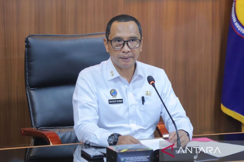 Plh. Sekretaris BNPP Makhruzi Rahman. ANTARA/HO-Puspen Kemendagri