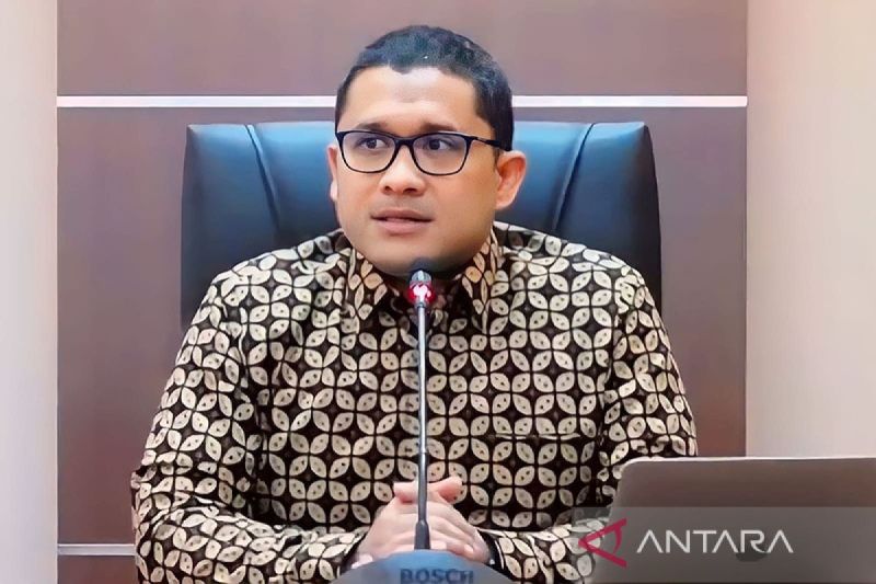 Kepala Badan Kebijakan Fiskal Kemenkeu Febrio Kacaribu. (ANTARA/Agatha Olivia Victoria)