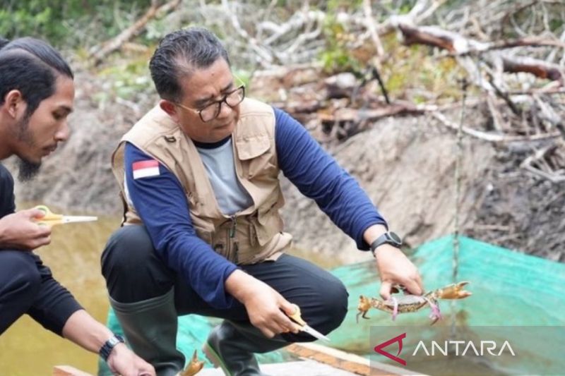 Pj Gubernur Kaltim Akmal Malik. (ANTARA/HO-Diskominfo Kaltim)