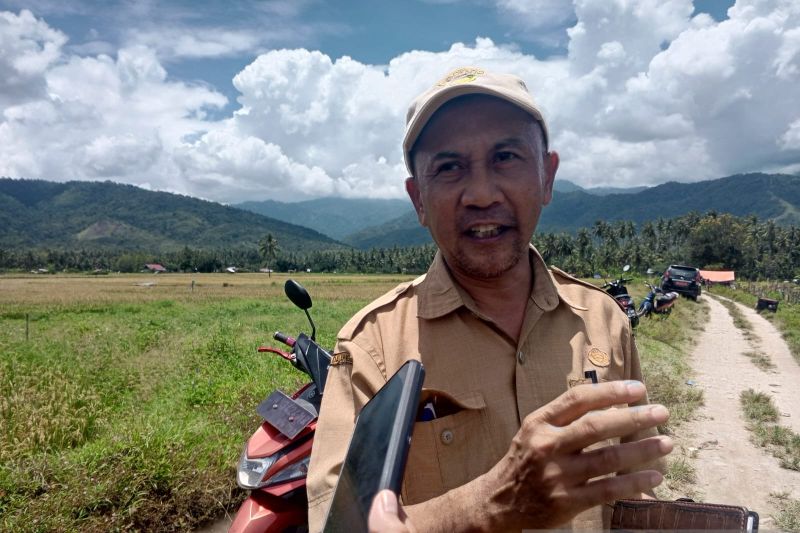 Kepala Dinas Tanaman Pangan, Hortikultura dan Perkebunan Kabupaten Sigi Rahmat Iqbal. ANTARA/MOH SALAM