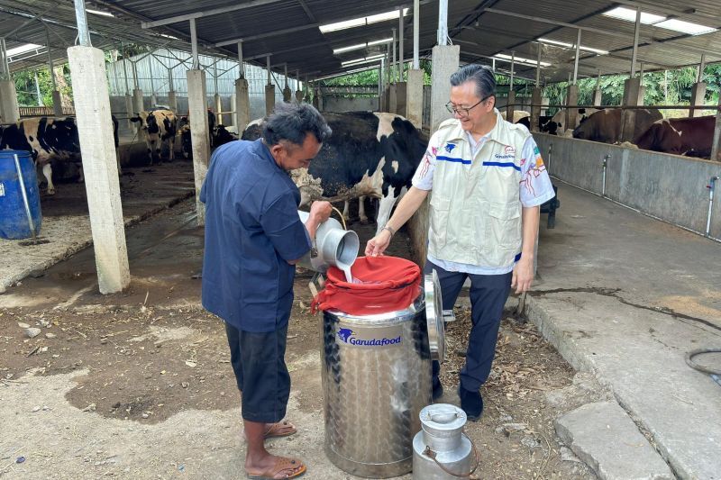 Direktur PT Garudafood Putra Putri Jaya Tbk (GOOD) atau Garudafood Johannes Setiadharma berbincang dengan peternak mitra binaan di Kabupaten Boyolali, Jawa Tengah, Kamis (29/08/2024). (GOOD)